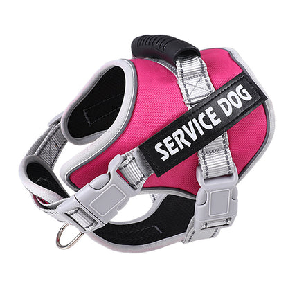 Pet Leash Pet